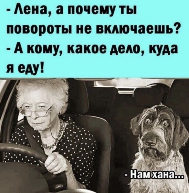 Так себе картинки 06.02.25