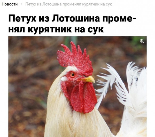 Всего понемногу. От 27.02.2025