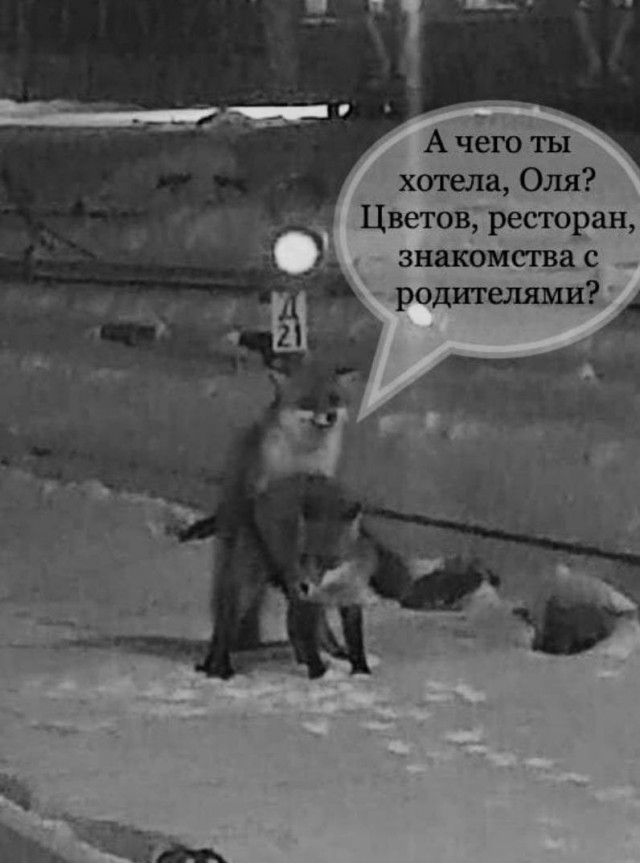 Так себе картинки 08.03.25
