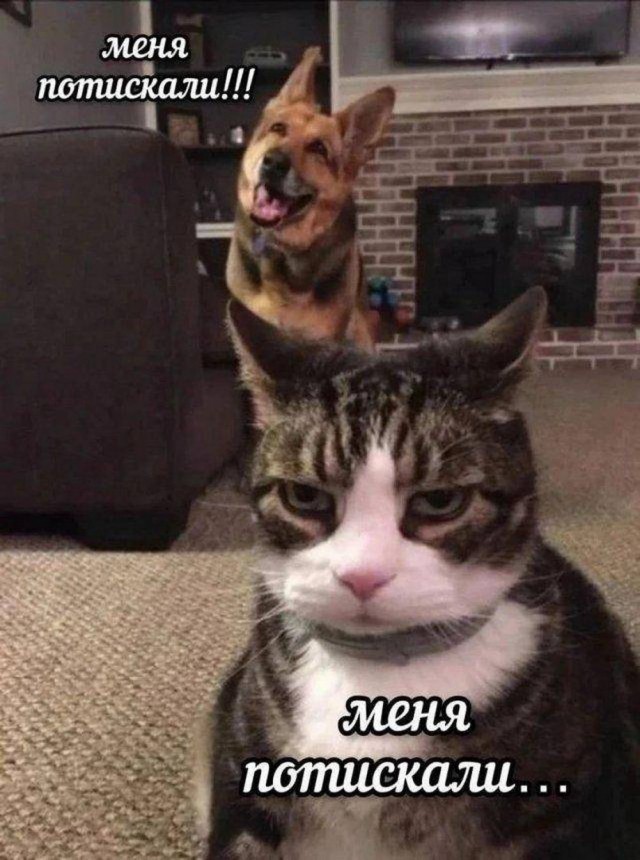 А когда будет восстание машин?