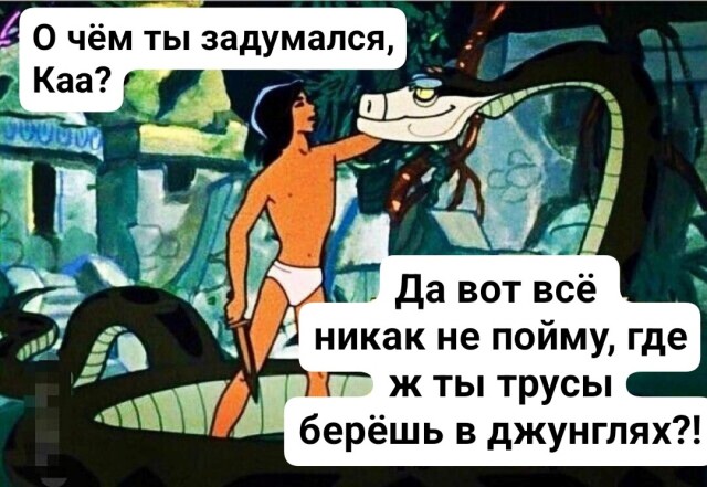 Так себе картинки 17.03.25