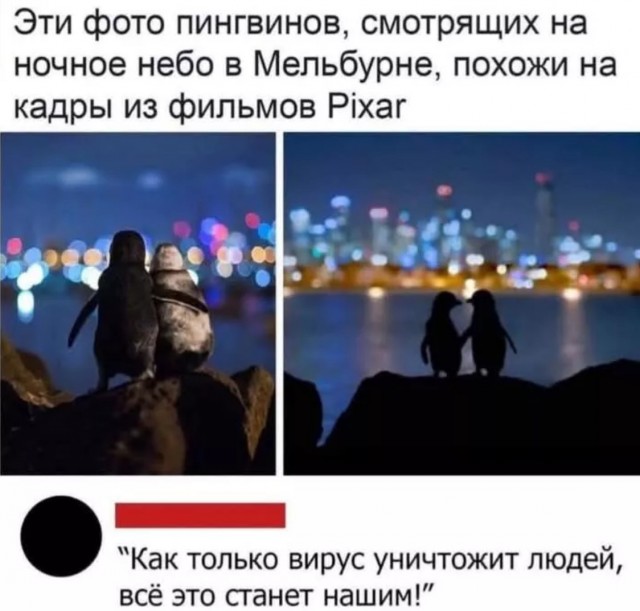 Завалялось тут случайно немного забавных картинок