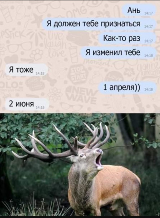 20088563.jpg