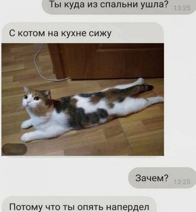 Веселые картинки в пятницу (12.09)