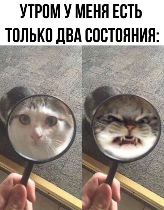 Марина, не нуди