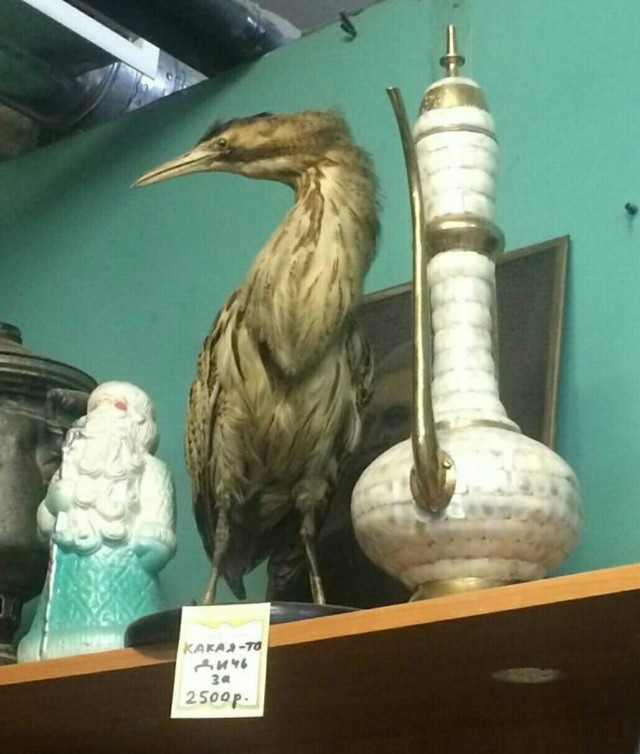 Так себе картинки 26.09.25