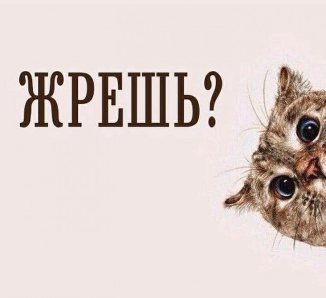 А вы там кушаете?