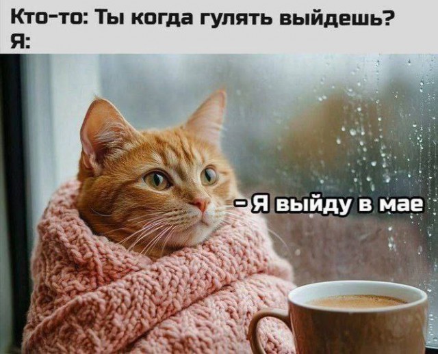 Так себе картинки 03.11.25