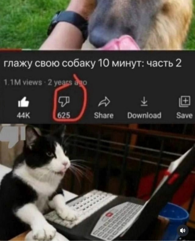 Субботние картинки