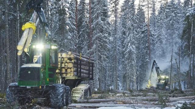 Сказочная дорога.