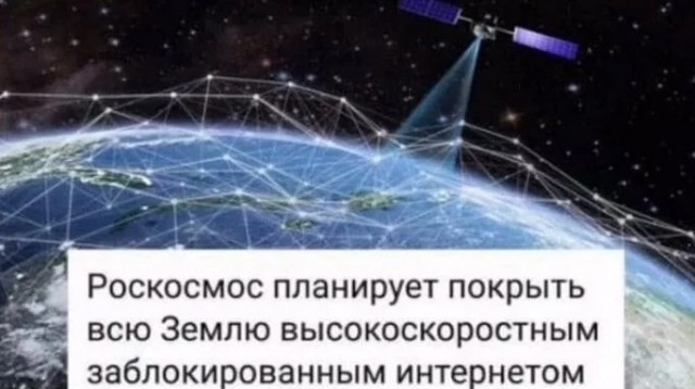 Мой кот