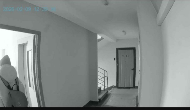 За камеру у двери квартиры можно сесть в тюрьму на 2 года