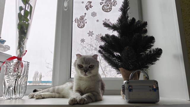 Вот и я стал рабом!