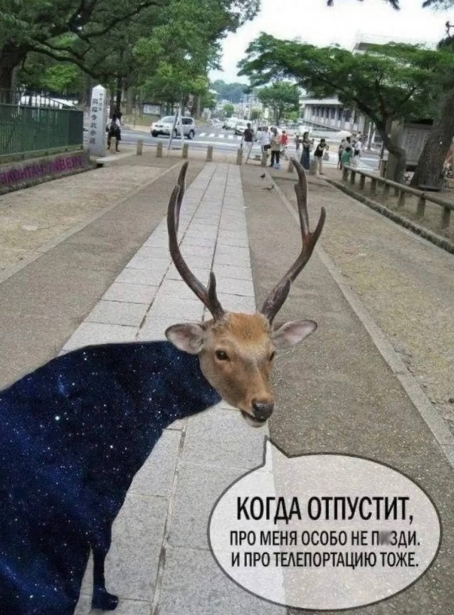 - Привезите мне батенька дичи всякой, и цветочек аленький!