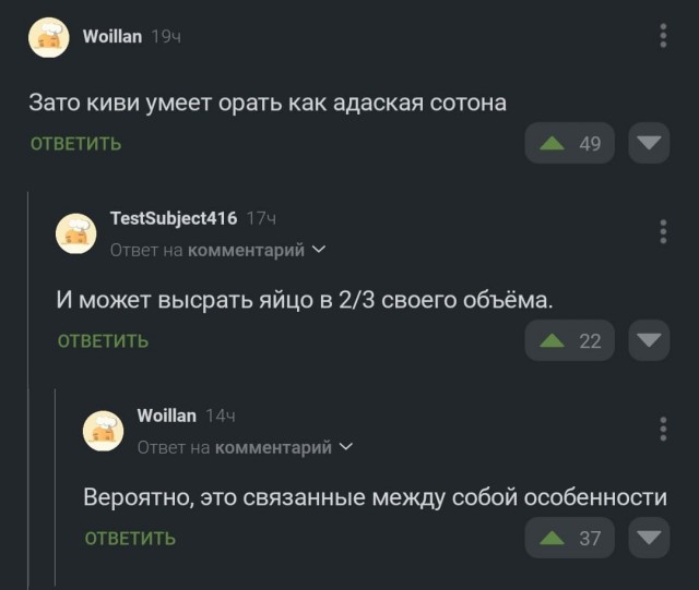 Вы когда-нибудь видели драку киви?