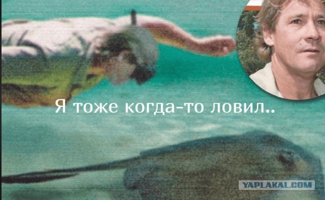 Задолбал всех змей в округе
