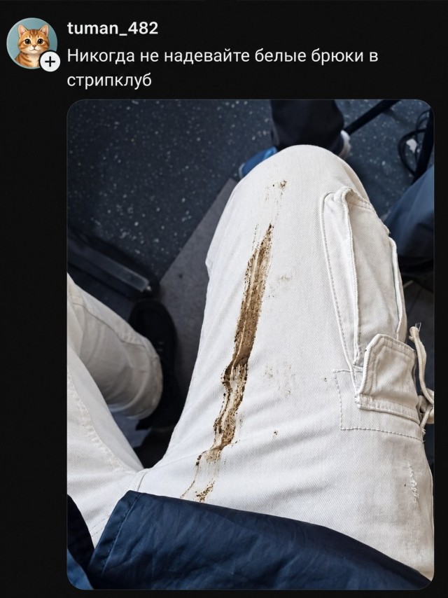 Мудрость дня