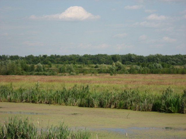 Село Батурино, Рязанская область