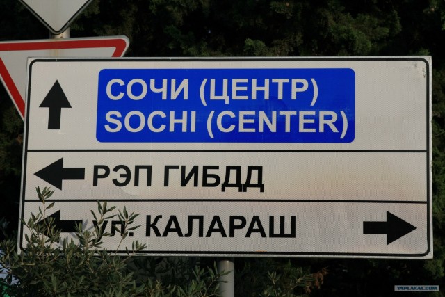 Что мы видим вокруг себя