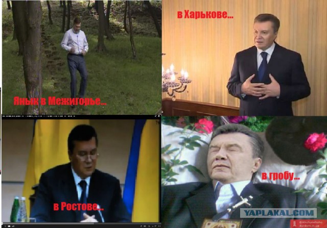 Прямая трансляция пресс-конференции!