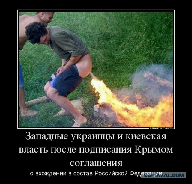 Видео-трансляция послания Путина