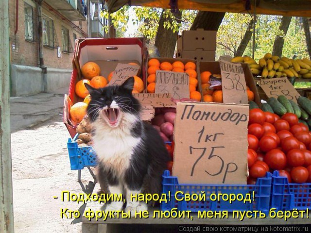 Чёрт, чёрт, чёрт!