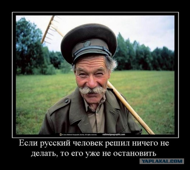 Смешные картинки из соц. сетей.