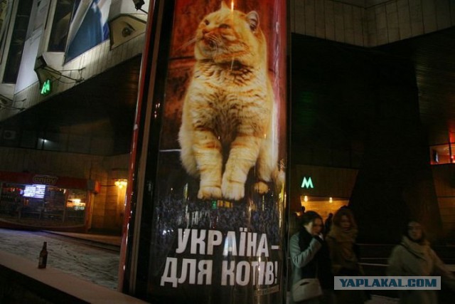 Небольшая подборочка