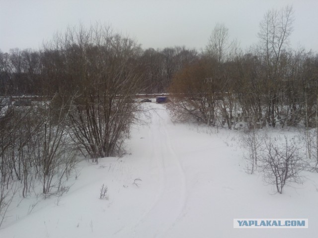 Снегопад в Москве. Когда пора уже паниковать?