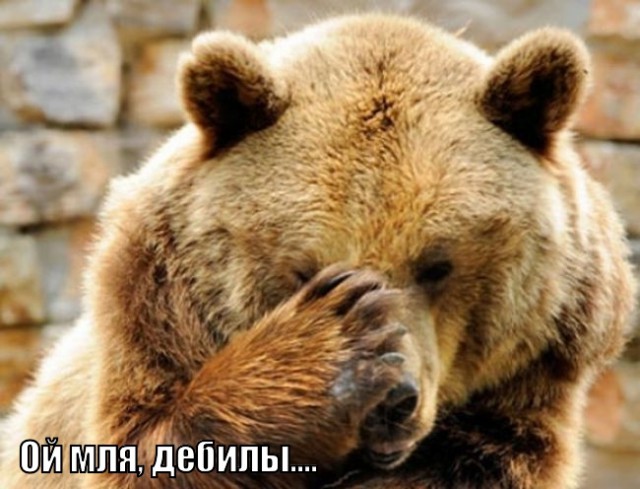 Вопрос: что это?