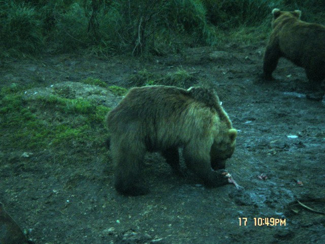 Путина 2005, Камчатка
