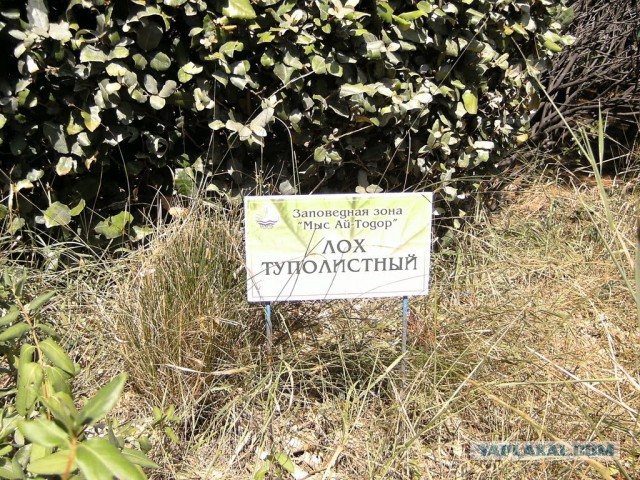 10 чудес Крыма