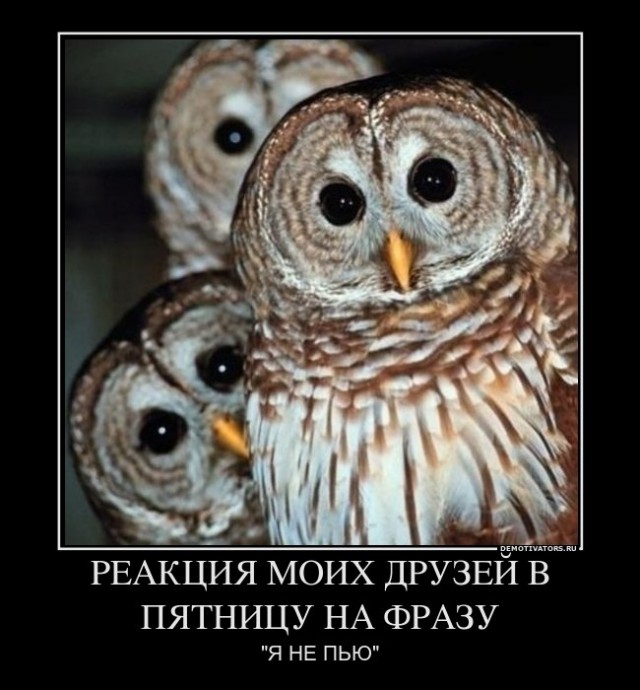 Пятница!