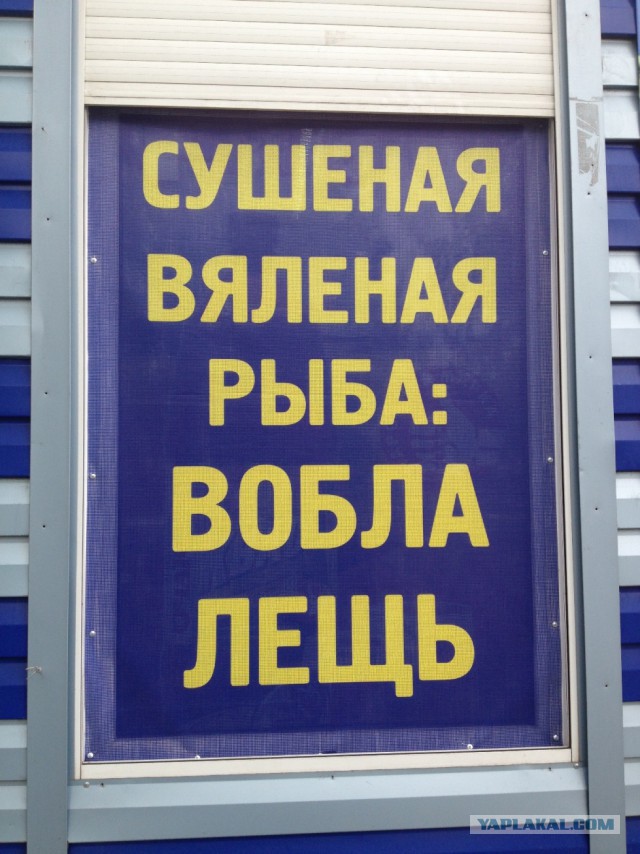 Смешные комментарии 05.01.2016