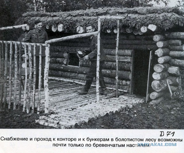 Фото с мест Волховской битвы (Вермахт)