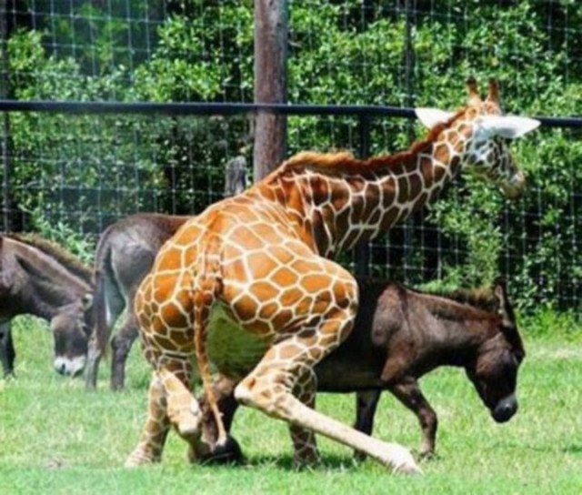 Неприятности случаются