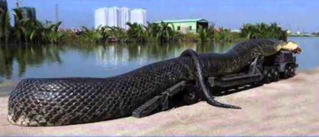 Анакондочка