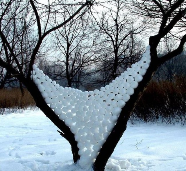 Подборка интересных и веселых картинок