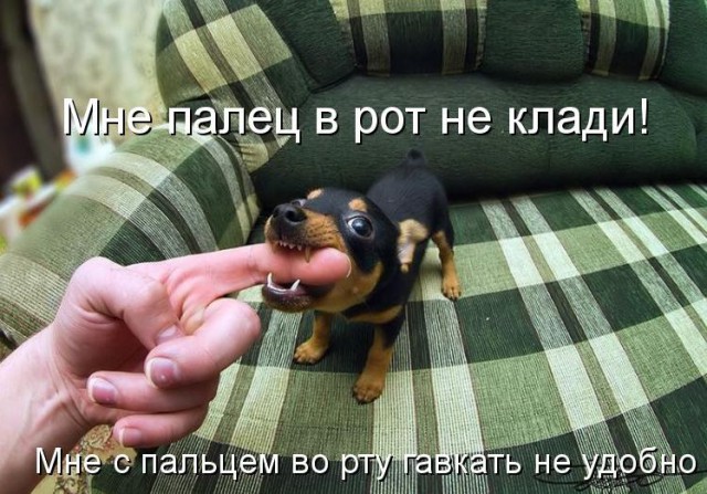 Ам! Я тебя съем!