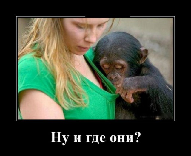 Соцсети - и смех и грех