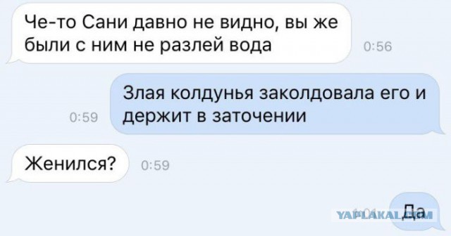 Подборка интересных и веселых картинок