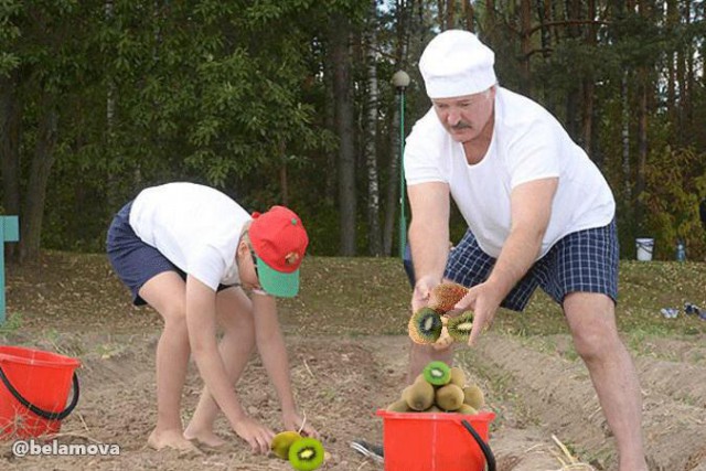 Вот Белорусы продолжают удивлять....