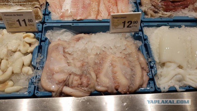 Настоящая Испания изнутри: на местный рынок за продуктами