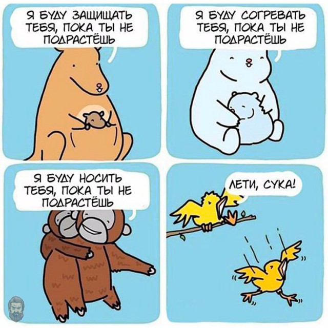 Смешные и не очень жипэги..