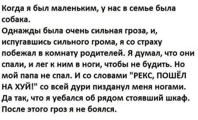 Везу тёщу на дачу. Она спереди, сзади едет сын 10-ти лет...