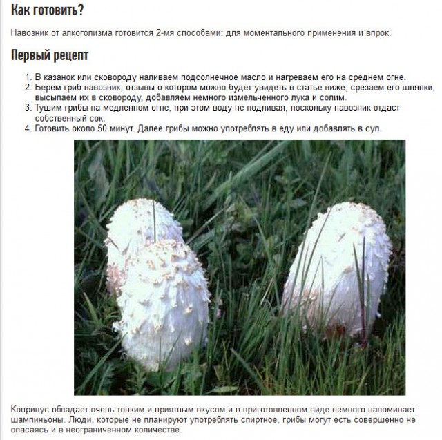 4 продукта, которыми нельзя закусывать водку