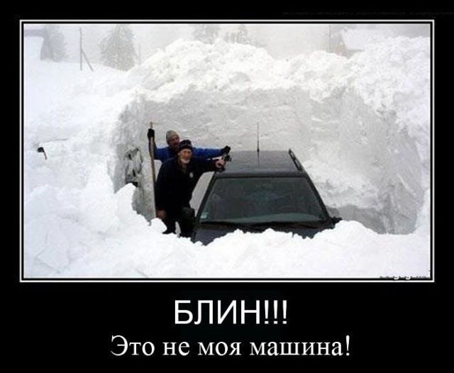 Откопал подснежник в Норильске