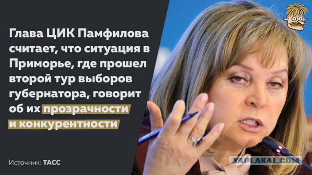 Карусели в приморье на выборах 16 сентября! Инструктаж от Единороса Дениса Русинова