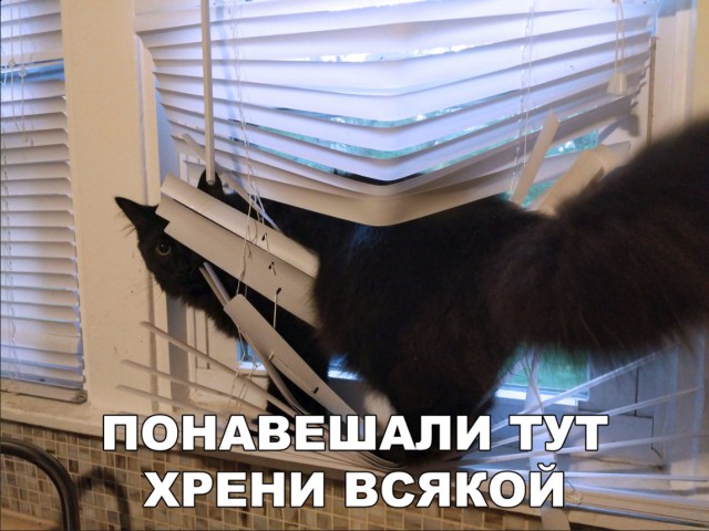 Немного милоты
