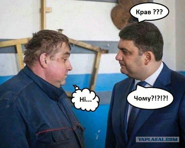 «Поведение Скабеевой оскорбительно»